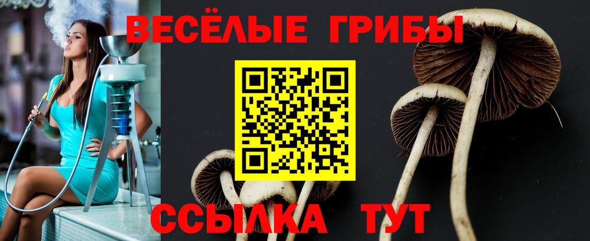 Барабинск  продажа наркотиков  Вход с VPN  Псилоцибиновые грибы Cubensis  Галлюциногенные грибы Cubensis 